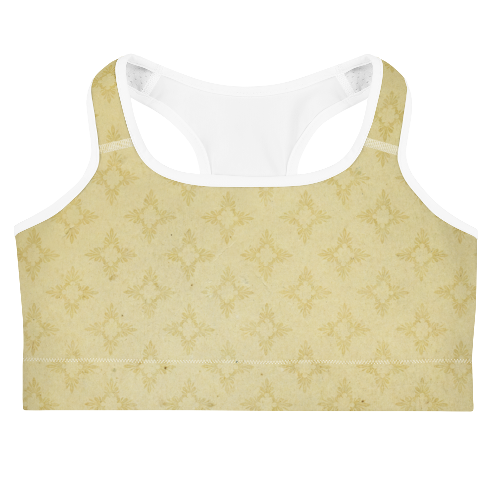 Pirouzi Athletics Sports bra