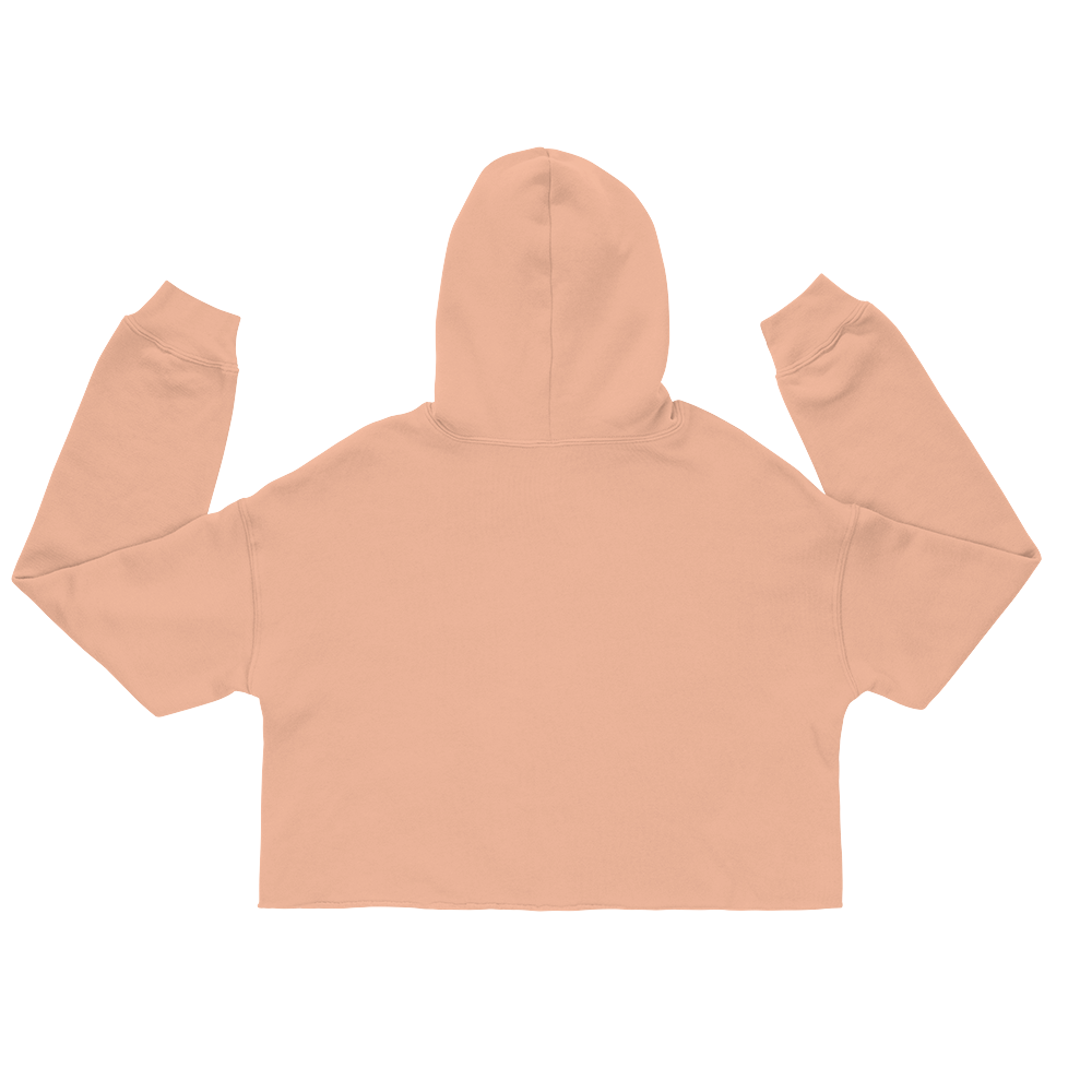 Pirouzi Athletics Crop Hoodie