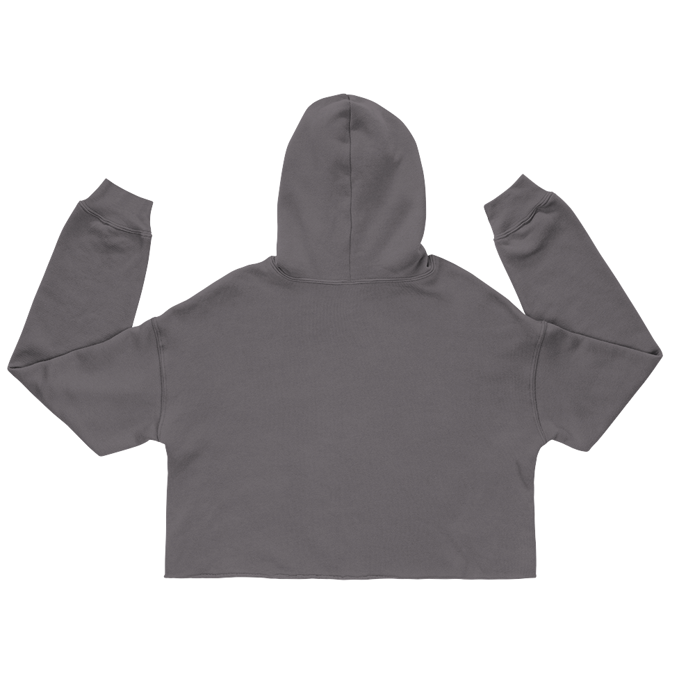 Pirouzi Athletics Crop Hoodie